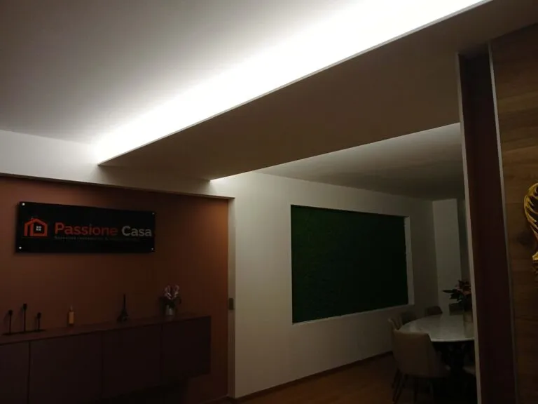 muro copia